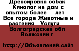 Дрессировка собак (Кинолог на дом с опытом более 10 лет) - Все города Животные и растения » Услуги   . Волгоградская обл.,Волжский г.